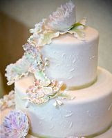 attractive wedding cake