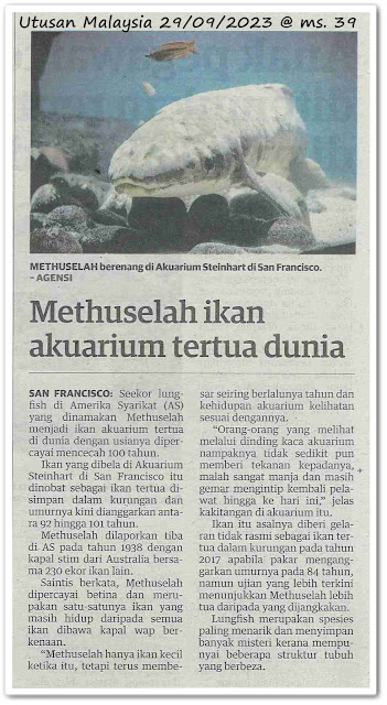 Methuselah ikan akuarium tertua dunia - Keratan akhbar Utusan Malaysia 29 September 2023