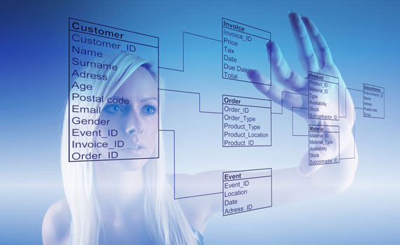Base De Datos