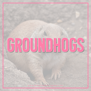 Groundhog-Theme