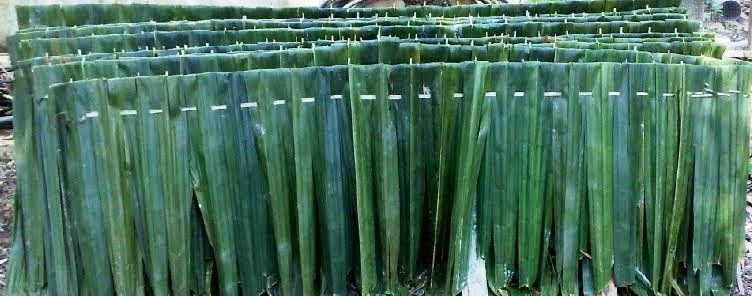 11+ Konsep Terbaru Rangka Atap Kayu