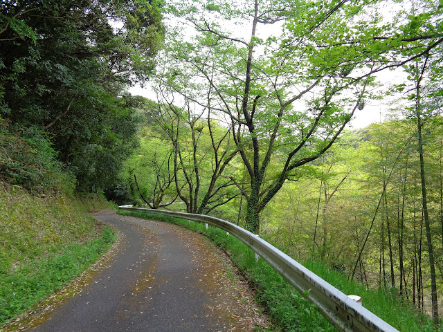 緑水湖の文芸の小径