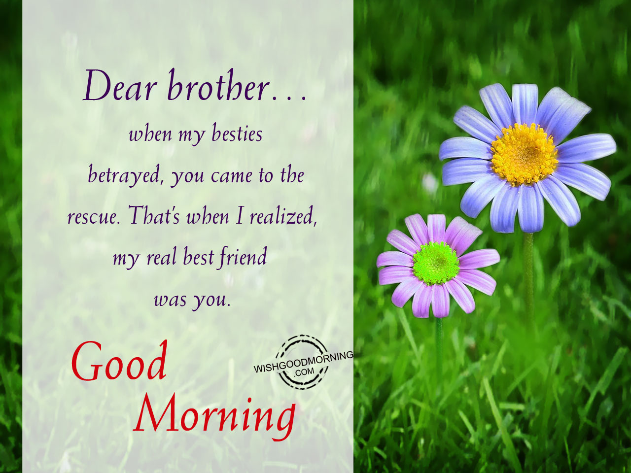 good morning for brother sms