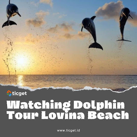 bali-private-tour-sunrise-dolphin-lovina