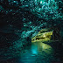  นิวซีแลนด์ :   ถ้ำหนอนเรืองแสง  ( Waitomo Glowworm Caves )