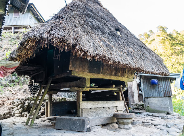 Pula-Région de l'Ifugao-Luçon-Philippines