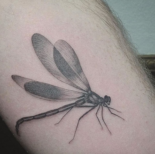 estes_dotwork_asas