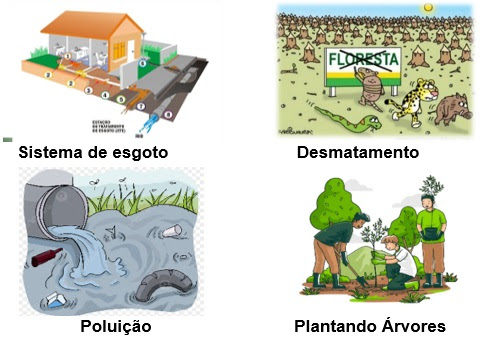 Provas e Quiz - Meio Ambiente e Sustentabilidade, PDF, Sustentabilidade