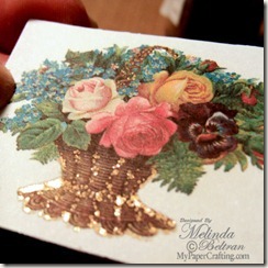 gold embossing-500