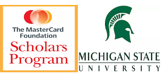 Michigan State University Scholarships 