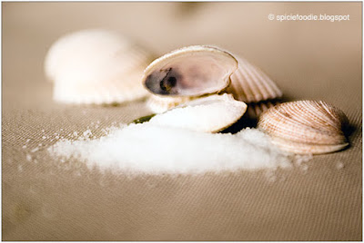 salt, sea and table salt,photo of salt,cooking with salt