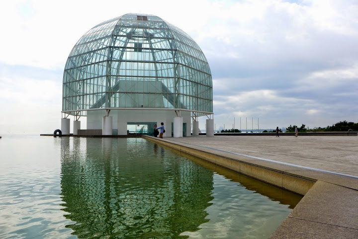 東京葛西臨海水族園 Dimensions And Colors In Life 魔法貓的旅程