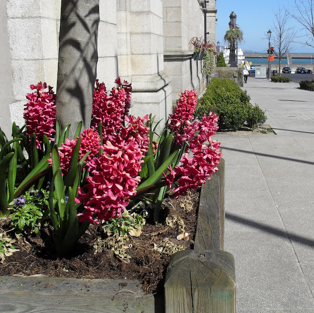 Dún Laoghaire 