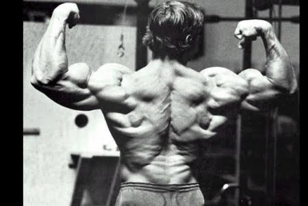 arnold schwarzenegger workout routine. arnold schwarzenegger workout