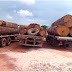 Operação apreende caminhões transportando madeira ilegalmente