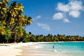Martinica una playa tropical imperdible