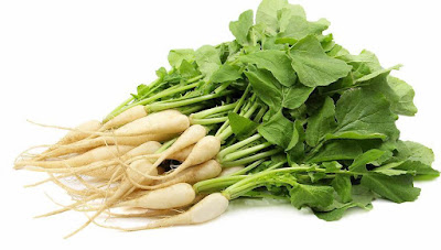 Radish Vegetable Vitamin Advances Medical Advantages