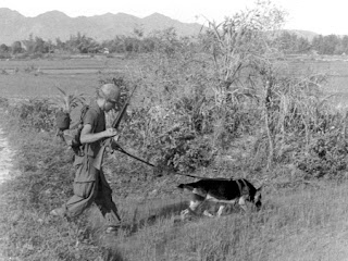 Vietnam War Dogs: Heroes Left Behind