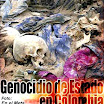 La mayor fosa común de América: hallada en el Meta, Colombia,  en diciembre 2009, hallados al menos 2000 cadáveres; el ejército había estado enterrando allí a "desaparecidos" desde el 2005.