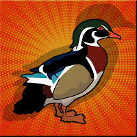 Games2Jolly - G2J Wood Duck Escape