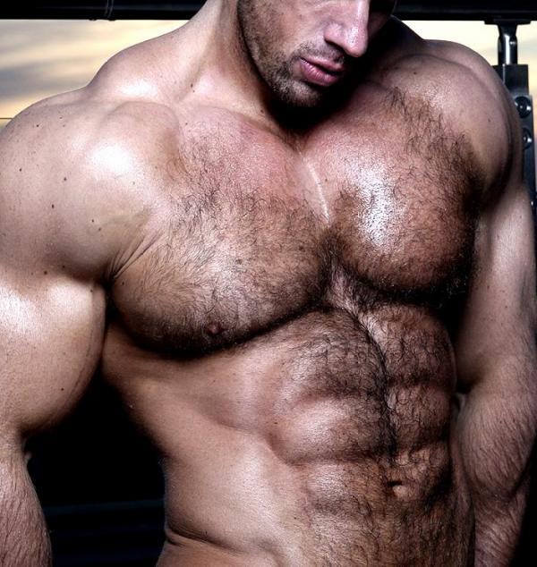 Zeb Atlas Hairy Muscle Macho Giant Our Advertisers