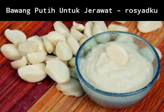 bawang putih untuk jerawat