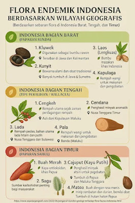 rempah-rempah khas indonesia