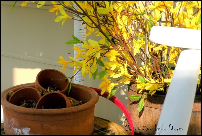 Spring Decor, Chickadee Home Nest