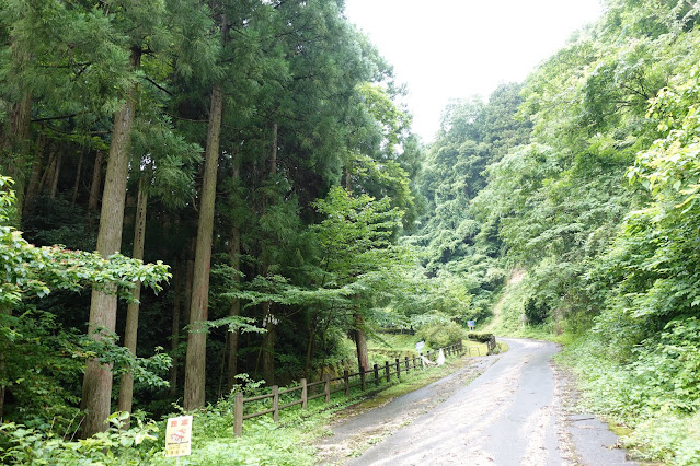 南部町の鎌倉山グリーンラインのこもれび広場