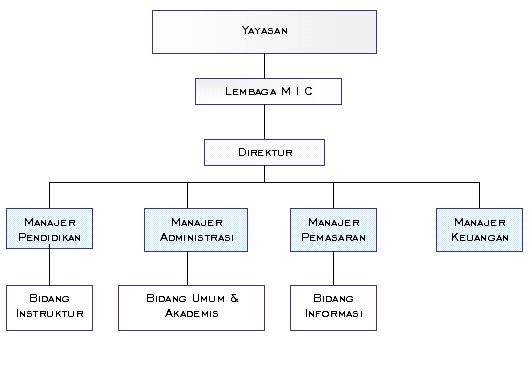 Contoh Struktur Organisasi perusahaan - Kumpulan Contoh 