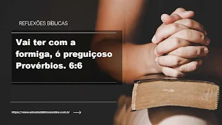 Reflexão sobre a Formiga: Vai ter com a formiga, ó preguiçoso Provérbios. 6:6