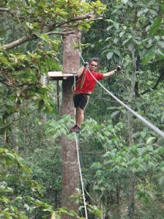 Skytrex Extreme Challenge: Waltzing up the Tree Tops