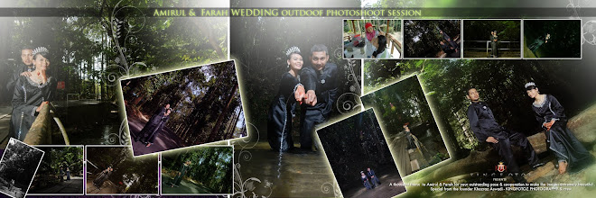 Amirul&Farah Wedding Day