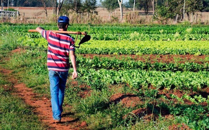 Produtores rurais de Alto Santo têm até 30 de janeiro para retirar boletos do Garantia Safra