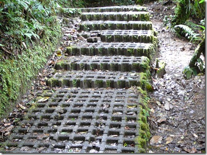 2012_02_01 17 CR Selvatura canopy walk - cobbles