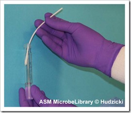 2 wring swab