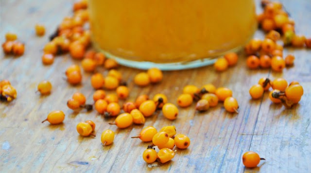 Seabuckthorn Sebagai Obat Penyakit Diabetes