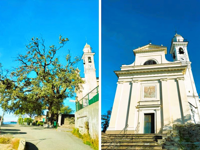 chiesa santa giulia albero monumentale Lavagna
