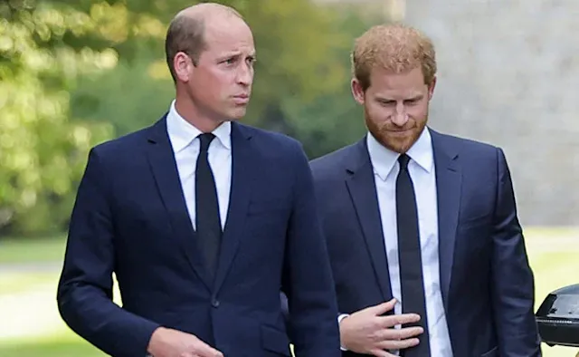 Prince Harry Likely to Reunite with Prince William in May