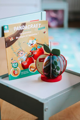 kit activité pandacraft