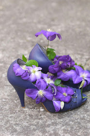 clematis mov in papuci clematis flowers and shoes