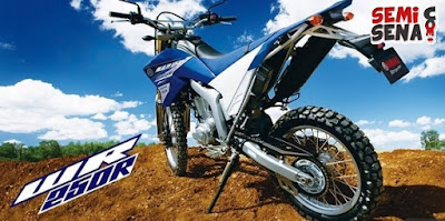 yamaha motor WR250R