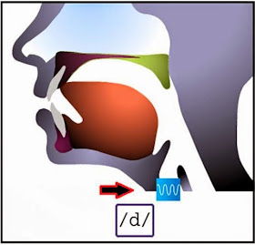 Phonetics - Phonology - English Pronunciation - Official Website - BenjaminMadeira