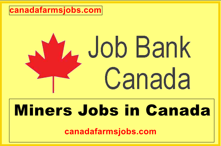Miners Jobs in Canada