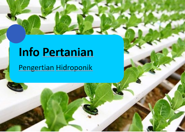 Pengertian Hidroponik