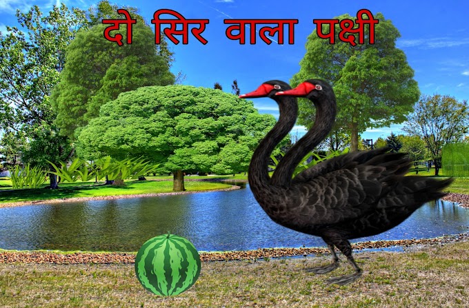 दो मुंह वाला पक्षी - पंचतंत्र कहानी | Two Head Bird Storie in Hindi  -