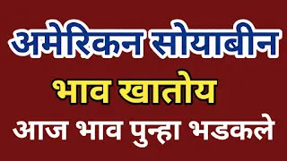 आजचे सोयाबीन भाव 2022