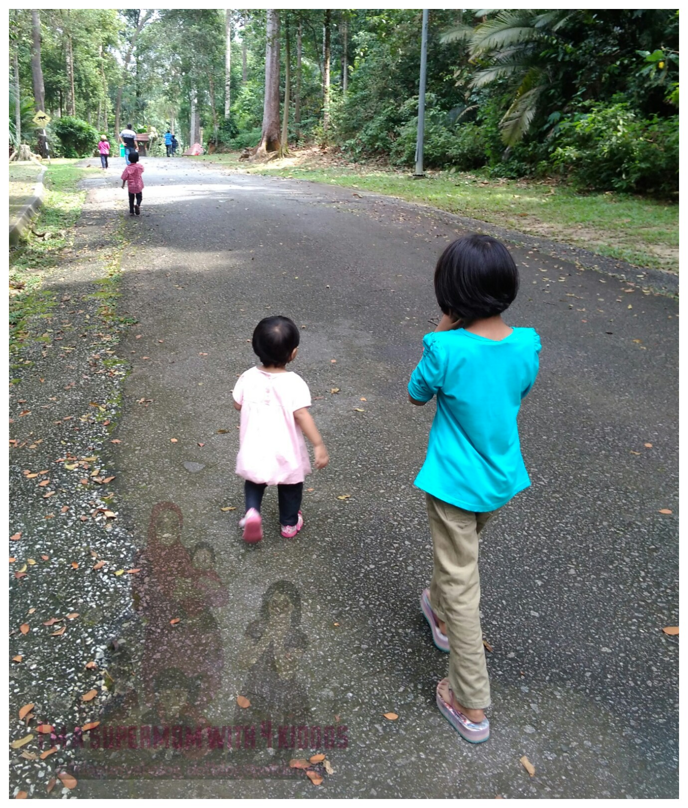 [Entri Bergambar] Jalan-jalan membakar lemak di Taman Botani Negara, Shah Alam.