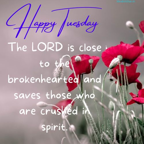 Happy Tuesday Positive Blessings