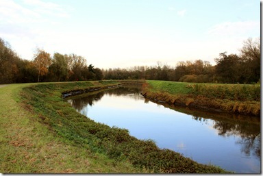 IMG_4728 IMG_4728